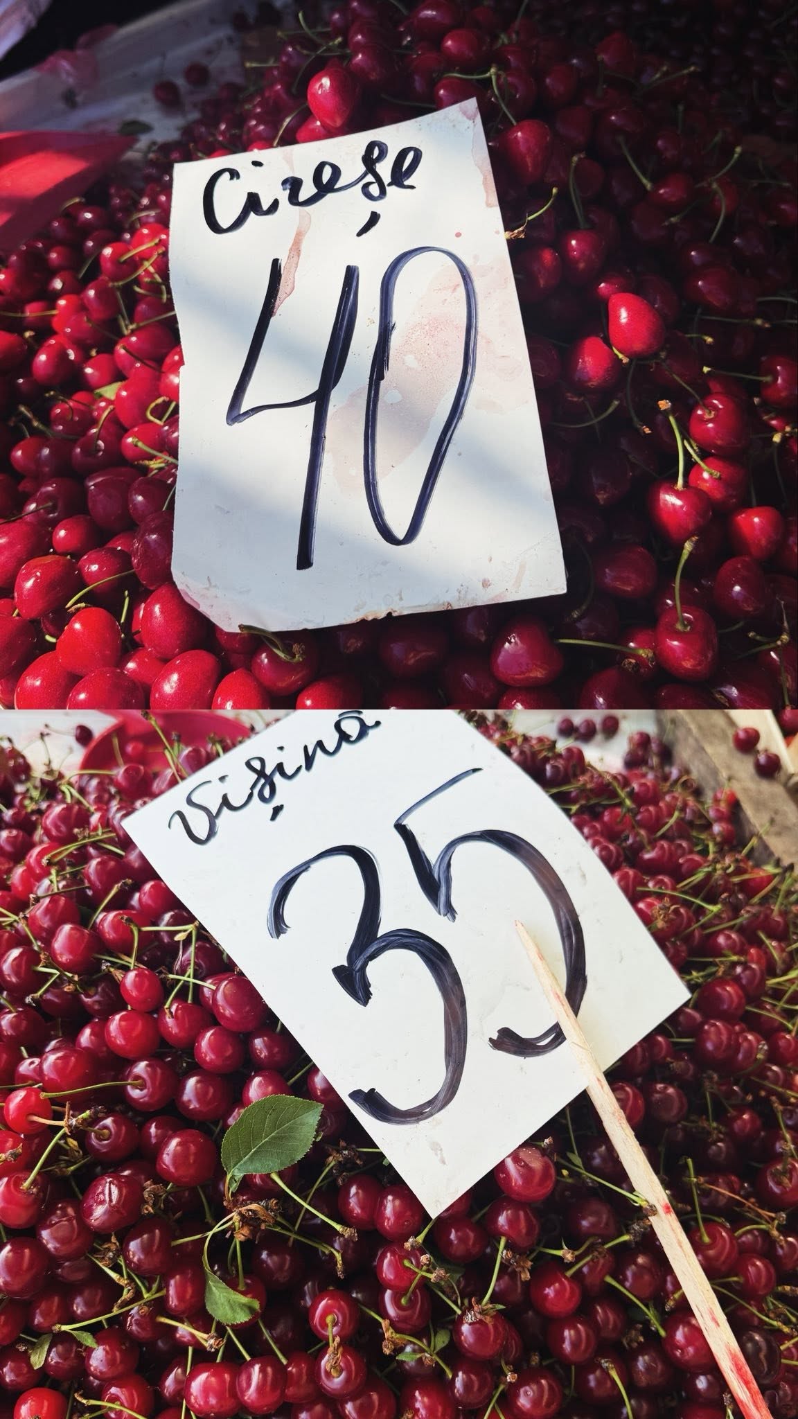 Ar putea fi o imagine cu cireşe, Amelanchier şi text